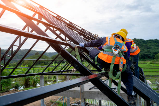 Roof Gutter Cleaning in Moyie Springs, ID