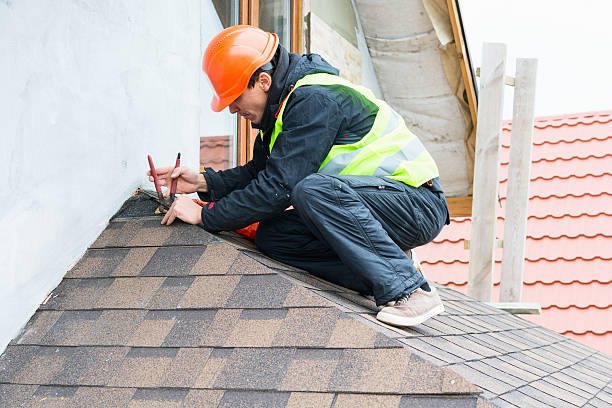 Best Roof Gutter Cleaning  in Moyie Springs, ID