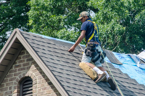 Best Roof Gutter Cleaning  in Moyie Springs, ID
